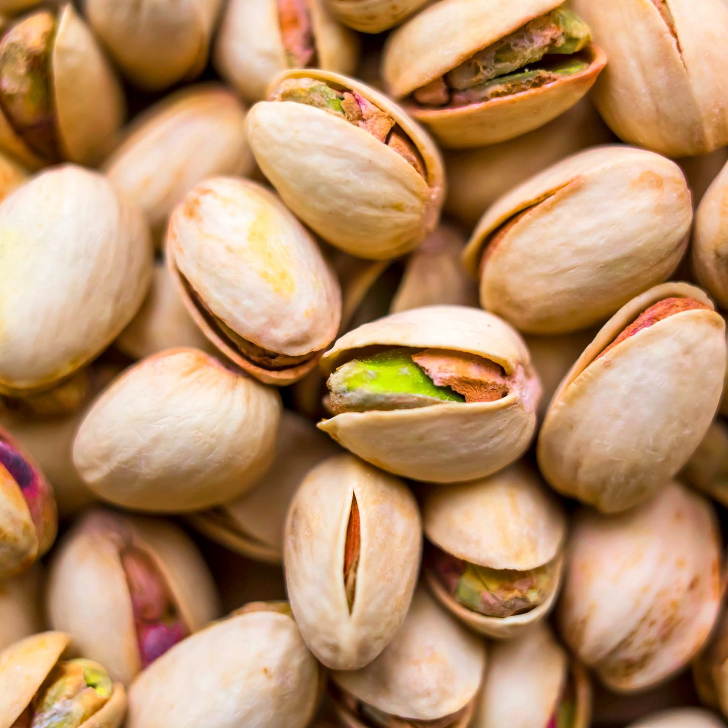 Premium Quality Salted Pistachios (Pista) With Shell – Crunchy & Nutritious Dry Fruit