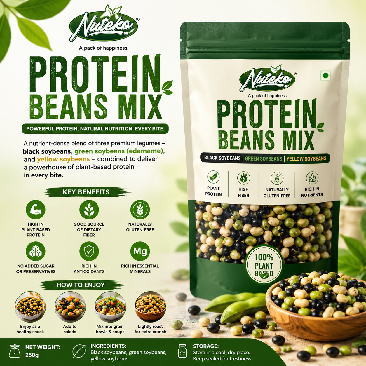 Roasted Protein Beans Mix | High Protein Healthy Snack | Nuteko Health Food
