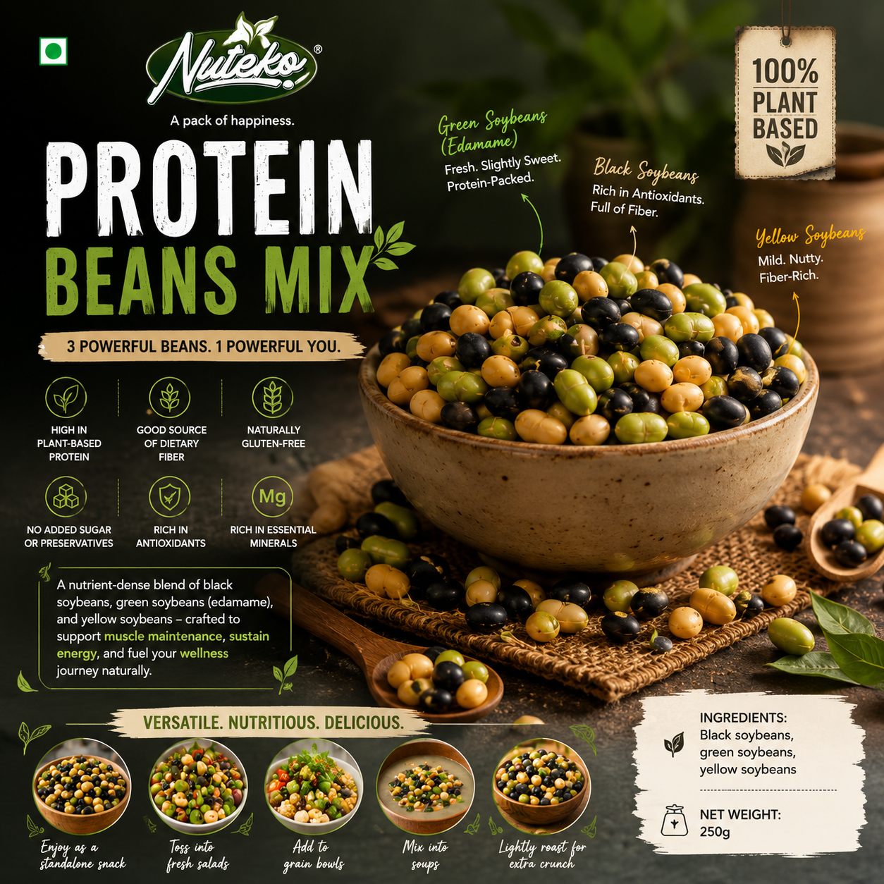 Roasted Protein Beans Mix | High Protein Healthy Snack | Nuteko Health Food