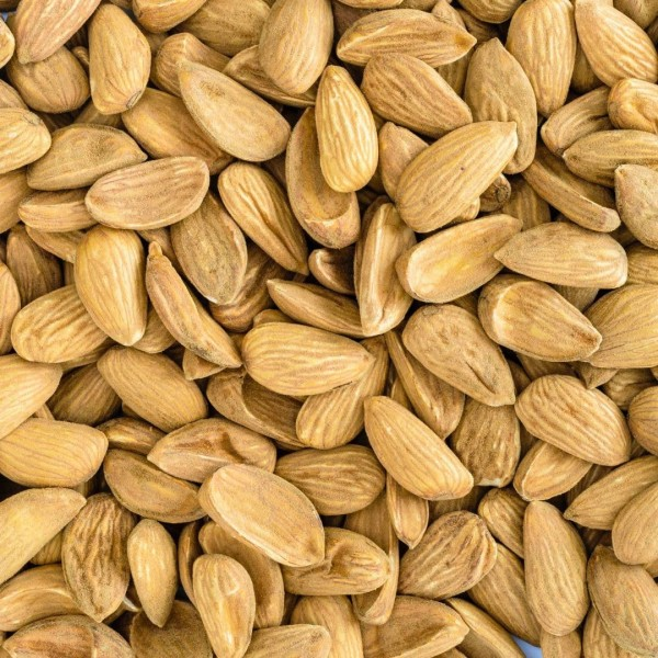 Original Mamra Almonds (Badam) – Premium Iranian Mamra Almonds