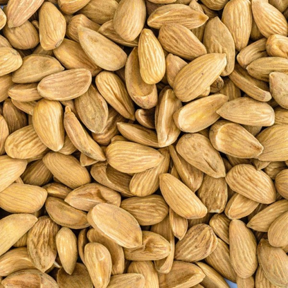 Original Mamra Almonds (Badam) – Premium Iranian Mamra Almonds